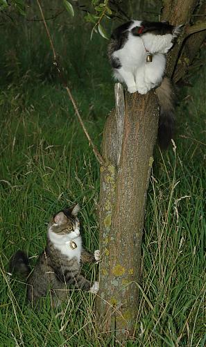 Klik op de afbeelding voor een grotere versie

Naam:  I&L boom.JPG
Bekeken: 103
Grootte:  446,7 KB
ID: 33803