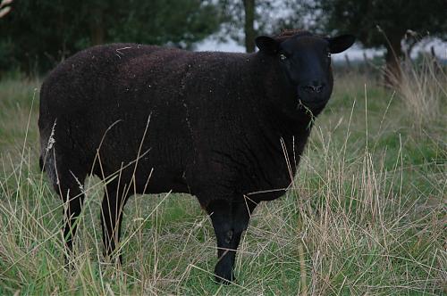 Klik op de afbeelding voor een grotere versie

Naam:  Caro.JPG
Bekeken: 111
Grootte:  269,8 KB
ID: 33804