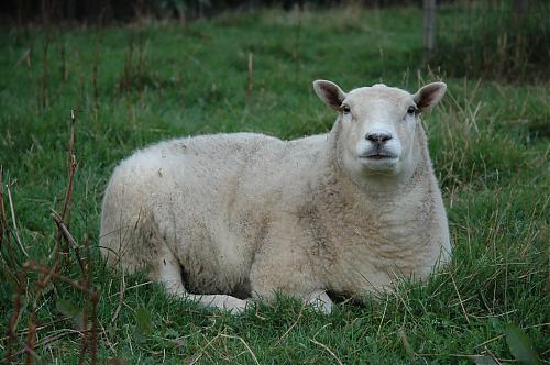 Klik op de afbeelding voor een grotere versie

Naam:  milky.JPG
Bekeken: 109
Grootte:  233,8 KB
ID: 33805