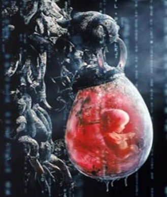 Naam: matrixbaby.jpg
Bekeken: 72
Grootte: 89,1 KB