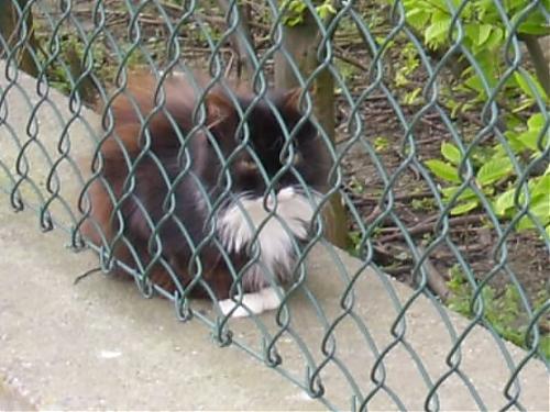 Klik op de afbeelding voor een grotere versie

Naam:  zwartkatje.JPG
Bekeken: 212
Grootte:  405,9 KB
ID: 34147