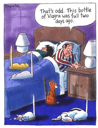 Klik op de afbeelding voor een grotere versie

Naam:  viagra.jpg
Bekeken: 131
Grootte:  40,0 KB
ID: 34499