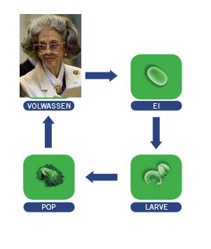 Naam: royals-cyclus.jpg
Bekeken: 137
Grootte: 12,7 KB