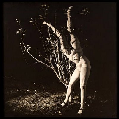 Naam: k3.jpg
Bekeken: 38
Grootte: 29,5 KB