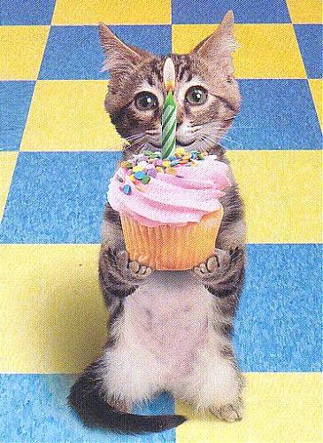 Klik op de afbeelding voor een grotere versie

Naam:  happy_birthday.jpg
Bekeken: 110
Grootte:  76,3 KB
ID: 43944