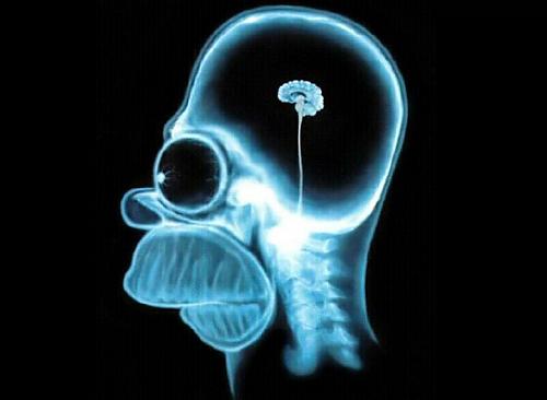 Klik op de afbeelding voor een grotere versie

Naam:  blog_homerBrain.jpg
Bekeken: 588
Grootte:  28,6 KB
ID: 45954