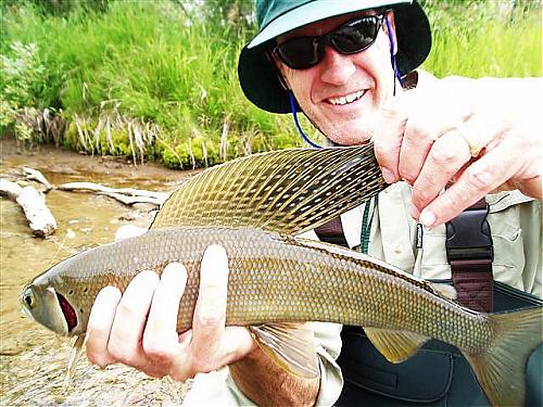 Klik op de afbeelding voor een grotere versie

Naam:  vis2.jpg
Bekeken: 53
Grootte:  73,3 KB
ID: 45976