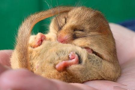 Naam: d1.jpg
Bekeken: 242
Grootte: 93,2 KB