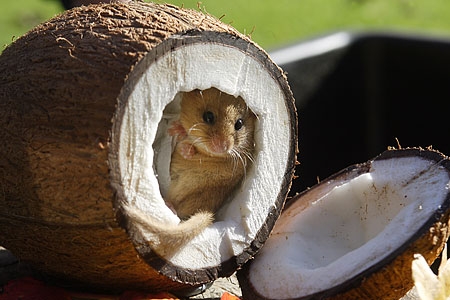 Naam: d2.jpg
Bekeken: 155
Grootte: 85,4 KB