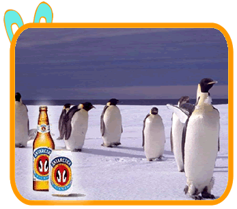 Naam: antartica-beer.gif
Bekeken: 124
Grootte: 35,2 KB