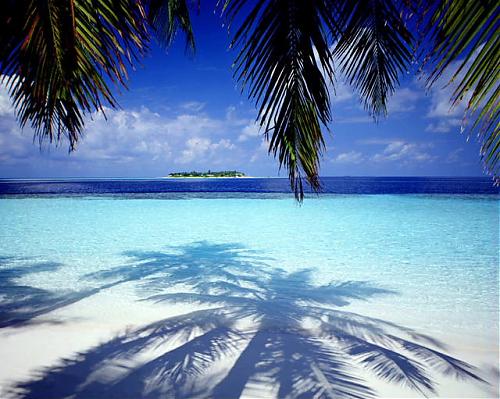 Klik op de afbeelding voor een grotere versie

Naam:  Tropical.jpg
Bekeken: 101
Grootte:  69,8 KB
ID: 47321