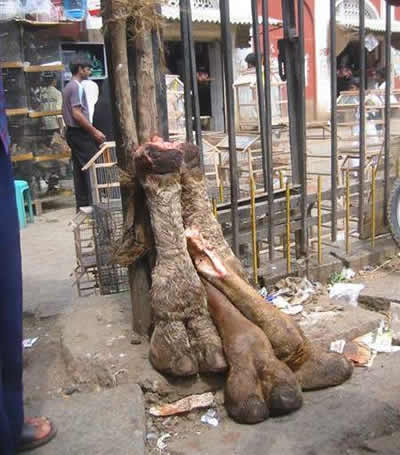 Naam: cameltoe.jpg
Bekeken: 7011
Grootte: 29,6 KB