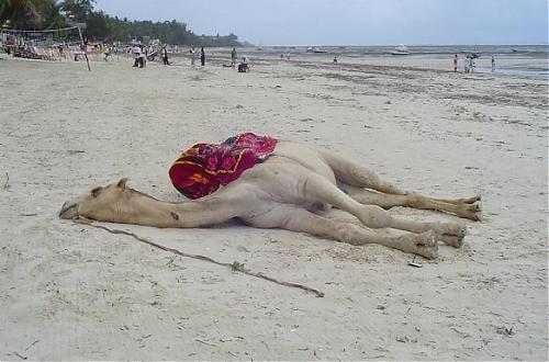 Naam: s4.jpg
Bekeken: 52
Grootte: 32,0 KB