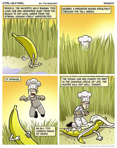 Klik op de afbeelding voor een grotere versie

Naam:  chef brian.jpg
Bekeken: 161
Grootte:  182,3 KB
ID: 49380