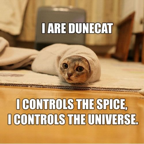 Naam: dunecat.jpg
Bekeken: 972
Grootte: 101,5 KB