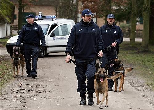 Klik op de afbeelding voor een grotere versie

Naam:  honden01.jpg
Bekeken: 111
Grootte:  185,0 KB
ID: 53614