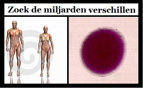 Naam: zoek de fout.jpg
Bekeken: 1083
Grootte: 25,9 KB