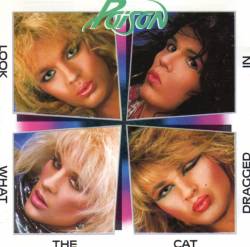 Naam: Look%20What%20The%20Cat%20Dragged%20In.jpg
Bekeken: 290
Grootte: 12,7 KB
