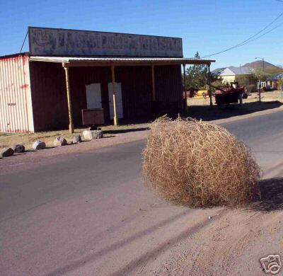 Naam: tumbleweed.jpg
Bekeken: 66
Grootte: 29,2 KB
