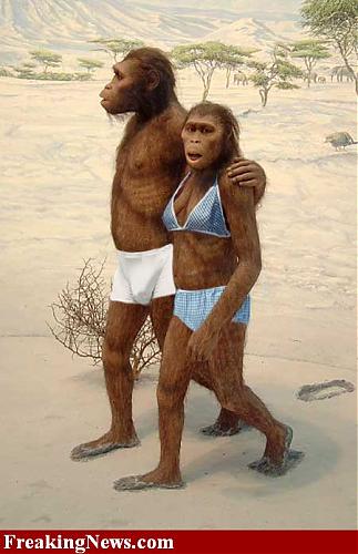Klik op de afbeelding voor een grotere versie

Naam:  CroMagnon-Man--6243.jpg
Bekeken: 1518
Grootte:  47,1 KB
ID: 66909
