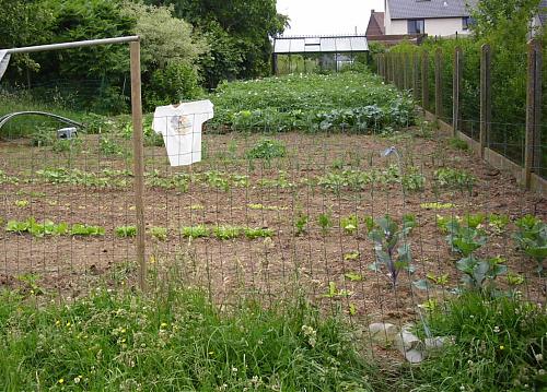 Klik op de afbeelding voor een grotere versie

Naam:  moestuin.jpg
Bekeken: 126
Grootte:  282,6 KB
ID: 68795
