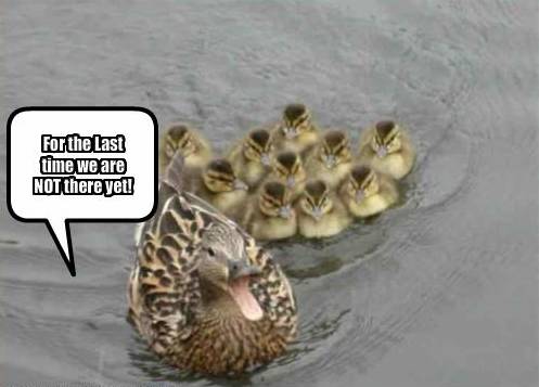 Naam: duck.jpg
Bekeken: 301
Grootte: 22,6 KB