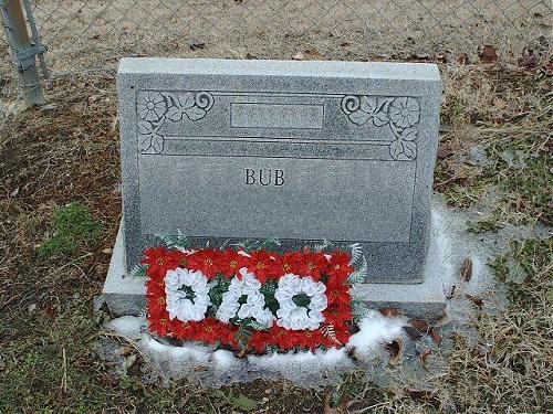 Klik op de afbeelding voor een grotere versie

Naam:  rip bub.JPG
Bekeken: 47
Grootte:  123,3 KB
ID: 7494