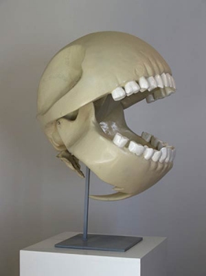 Naam: pac-man-skeleton.jpg
Bekeken: 55
Grootte: 34,9 KB