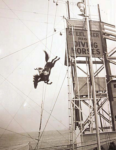 Klik op de afbeelding voor een grotere versie

Naam:  diving-horse.PNG
Bekeken: 42
Grootte:  370,1 KB
ID: 77368