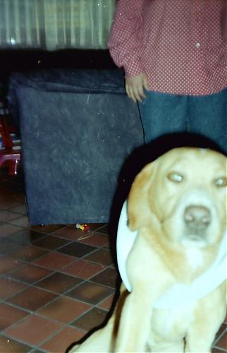 Klik op de afbeelding voor een grotere versie

Naam:  PICT0006 (3).jpg
Bekeken: 69
Grootte:  645,8 KB
ID: 80593