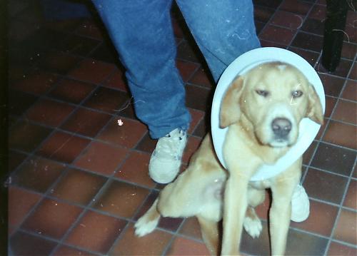 Klik op de afbeelding voor een grotere versie

Naam:  PICT0005 (3).jpg
Bekeken: 61
Grootte:  506,2 KB
ID: 80594