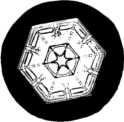 Naam: Artefact5.jpg
Bekeken: 234
Grootte: 34,4 KB