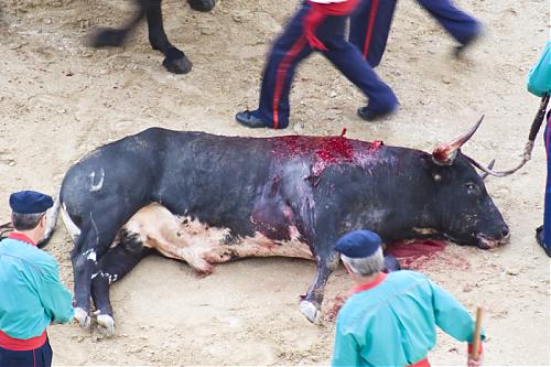 Klik op de afbeelding voor een grotere versie

Naam:  MadridD3_BullFights02.jpg
Bekeken: 70
Grootte:  399,9 KB
ID: 82250