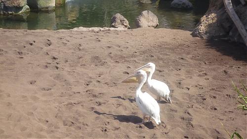 Klik op de afbeelding voor een grotere versie

Naam:  P1010768.JPG
Bekeken: 166
Grootte:  283,6 KB
ID: 82782