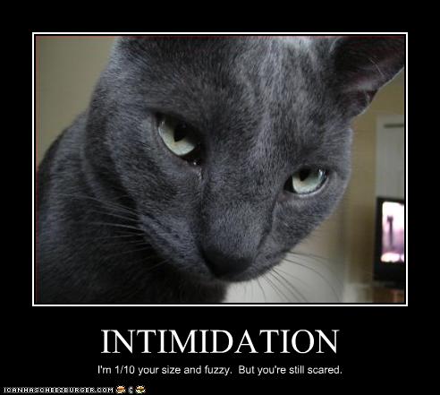 Naam: funny-pictures-cat-is-intimidating.jpg
Bekeken: 539
Grootte: 27,6 KB