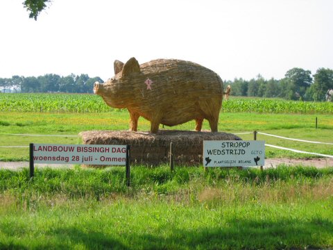 Naam: varken.jpg
Bekeken: 300
Grootte: 102,1 KB
