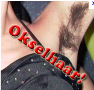 Naam: Knipsel.PNG
Bekeken: 110
Grootte: 235,4 KB