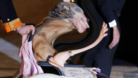 Naam: Fabiola (Foto ontleend aan AP-Volkskrant).jpg
Bekeken: 317
Grootte: 26,8 KB