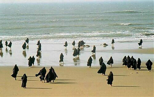 Klik op de afbeelding voor een grotere versie

Naam:  pinguin.png
Bekeken: 73
Grootte:  720,4 KB
ID: 92413