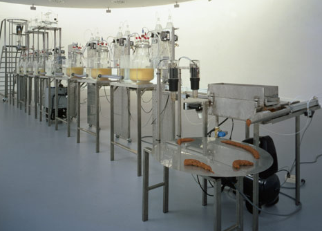 Naam: 4.PNG
Bekeken: 393
Grootte: 233,3 KB