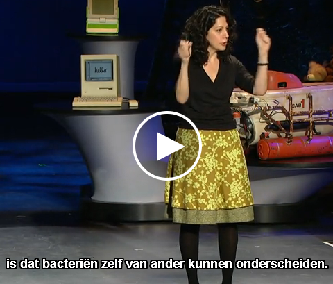 Naam: 1.PNG
Bekeken: 700
Grootte: 308,2 KB