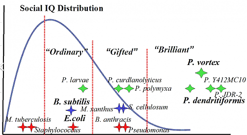Klik op de afbeelding voor een grotere versie

Naam:  Knipsel.PNG
Bekeken: 727
Grootte:  360,3 KB
ID: 97620