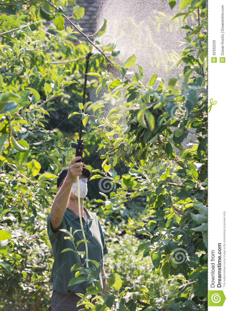 Naam: bespuitend-pesticide-op-fruitbomen-32332233.jpg
Bekeken: 79
Grootte: 281,8 KB