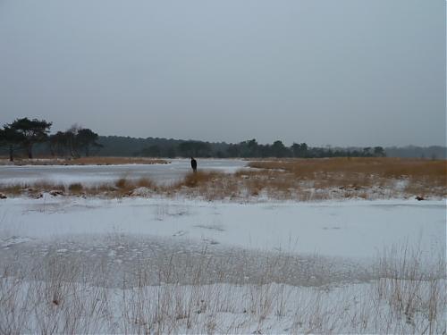 Klik op de afbeelding voor een grotere versie

Naam:  014.JPG‎
Bekeken: 326
Grootte:  151,6 KB
ID: 89054