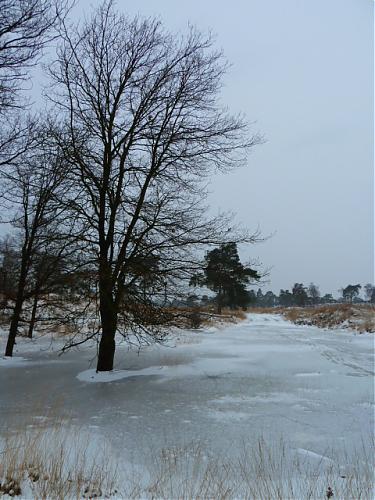 Klik op de afbeelding voor een grotere versie

Naam:  028.JPG‎
Bekeken: 321
Grootte:  155,9 KB
ID: 89056