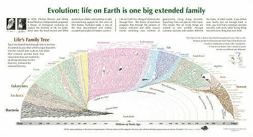 Klik op de afbeelding voor een grotere versie

Naam:  Evolution_poster_lg.gif‎
Bekeken: 126
Grootte:  281,5 KB
ID: 73084