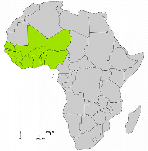 Klik op de afbeelding voor een grotere versie

Naam:  1024px-Ecowas_map.svg.png‎
Bekeken: 56
Grootte:  147,4 KB
ID: 105336