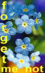 Forget-Me-Not's schermafbeelding